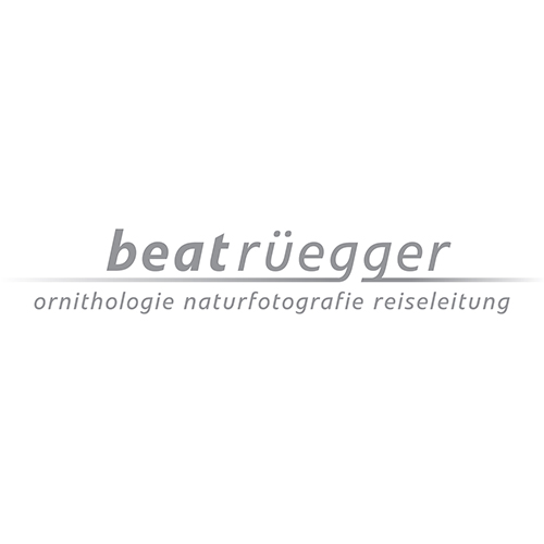 adi-ag_referenzen_logo_beatruegger.jpg
